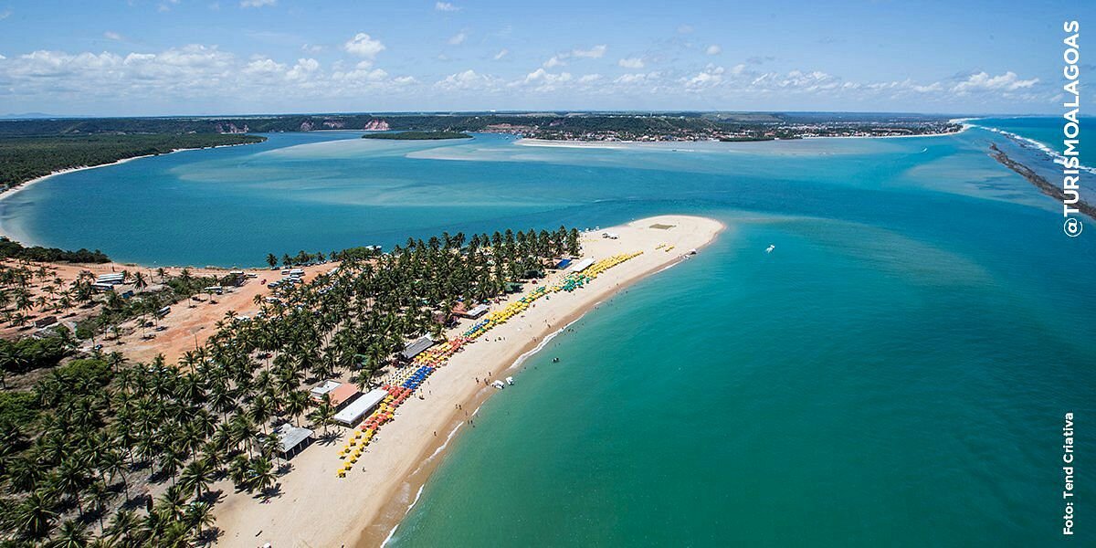 Passeio para Praia do Gunga - Paraíso das Falésias, imagem 2 - Marcão Turismo Maceió